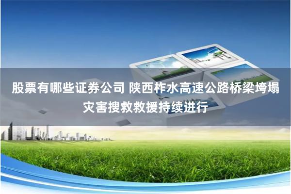 股票有哪些证券公司 陕西柞水高速公路桥梁垮塌灾害搜救救援持续进行