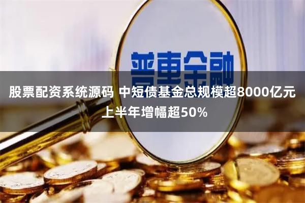 股票配资系统源码 中短债基金总规模超8000亿元 上半年增幅超50%